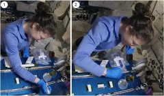 <b>宇航员在国蓝冠线路测试际空间站内成功实现 CRISPR 基因编辑</b>