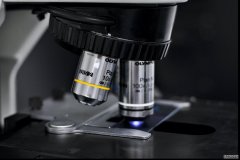 <b>科学家改造显微镜以蓝冠官网实现即时 3D 影像拍摄</b>
