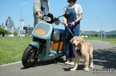 <b>Gogoro Viva 蓝冠注册系列再添「加大版」新成员 Viva XL</b>