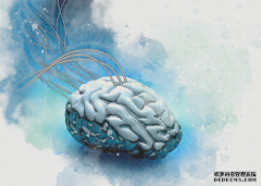 <b>三星想要把人类大脑神经元结构「复制粘贴」成 3D 芯片网络蓝冠</b>