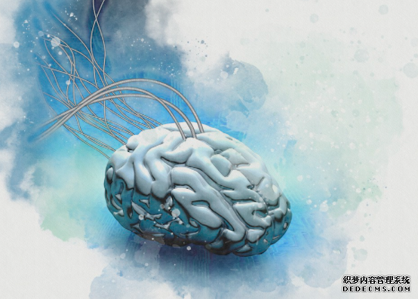 三星想要把人类大脑神经元结构「复制粘贴」成 3D 芯片网络蓝冠测速