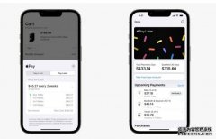 <b>因“技术和工程”难题 Apple Pay Later 可能无法在今年推出</b>