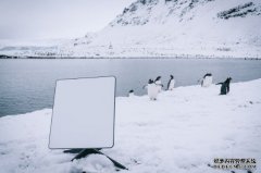 <b>Starlink 的全球蓝冠注册漫游服务已经上线，月费 US$200</b>