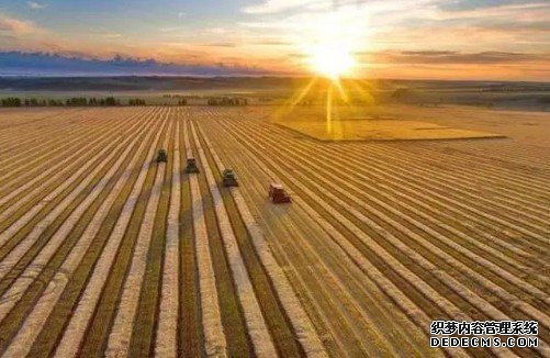 蓝冠注册耕地保护成效明显 筑牢粮食安全根基