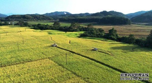 去年全国耕地净增加约130万亩蓝冠测速