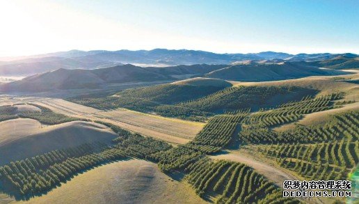 荒漠生态学首席专家吴波:走出治沙就是多植蓝冠代理树的误区