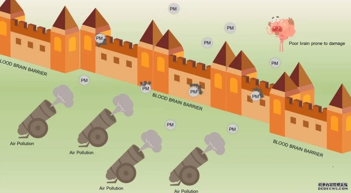空氣汙染不僅奪走健康 還抹黑你的記憶沐鸣在线登录